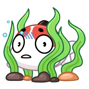 Кои
