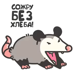 Маленький опоссум