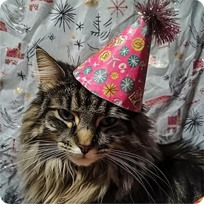 Котаны-2