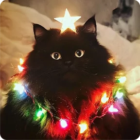 Котаны-2
