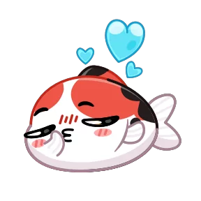 Кои