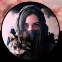 Новости Донбасса