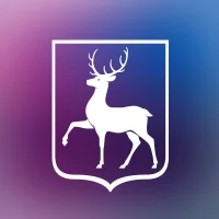 Правительство Нижегородской области